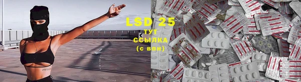 мяу мяу мука Алексеевка