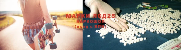 Альфа ПВП Алзамай