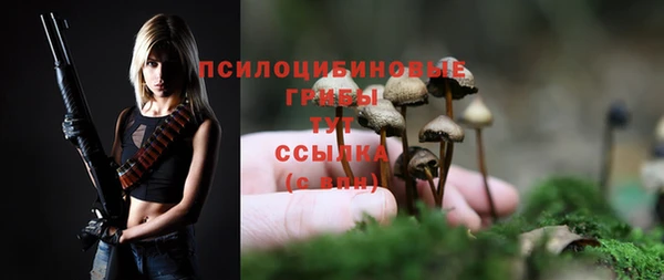 мяу мяу мука Алексеевка