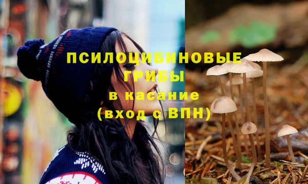 Альфа ПВП Алзамай